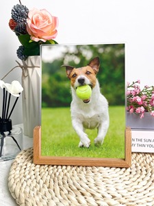<span class=keywords><strong>2025</strong></span> phong cách mới tùy chỉnh con chó cưng bằng gỗ cơ sở khung ảnh U hình dạng vật nuôi khung ảnh dạng thấu kính ảnh óc chó khung lưới trang trí - Product Image 2