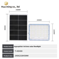 Lampu Sorot LED Tenaga Surya IP66 yang Dapat Disesuaikan, Dikendalikan Jarak Jauh, untuk Penerangan Halaman Luar Ruangan dan Jalan Pedesaan, Garansi 5 Tahun 3000 Jam