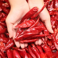 Piment rouge entier naturel séché du Sichuan, Chine, 25 kg, épice de qualité alimentaire pour l'exportation