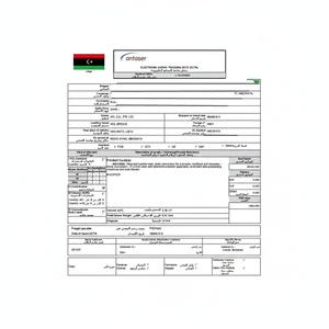 Libye COI COC agent de mouvement de conteneurs - Product Image 1