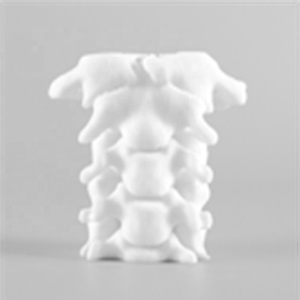 Trung Quốc 3D in ấn nhanh chóng prototyping công nghiệp nhựa ABS 3D máy in cho kim loại in ấn giá rẻ nhanh chóng prototyping - Product Image 6