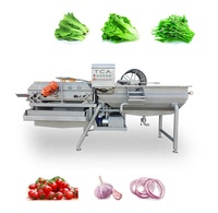 Tca Hot Verkoop Fruit Wasmachine Groente Dehydrating Verwerkingslijn Groente Snijden Waslijn