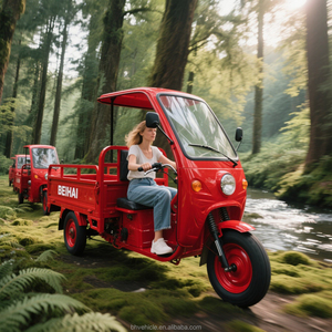 Tricycle de livraison rapide haute puissance pour la logistique - Product Image 2