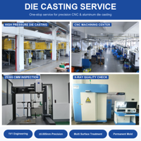 Pièces de fonderie sur mesure en aluminium de précision industrielle, services de fonderie en alliage d'acier et de zinc avec revêtement en poudre, pièces de machines, marque OEM