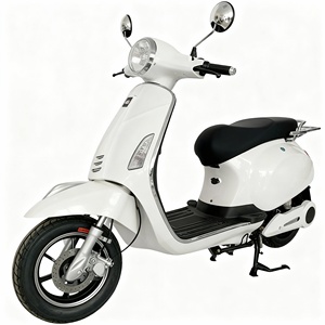 1000W Retro Electric Scooter, 10" Wheels, Drum &amp; Disc Brakes, 45km/<strong>h</strong> Commuting E-Scooter Customizable Products Made in China - Product Image 3