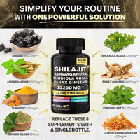 Ensemble de capsules de Shilajit de marque privée TLY, capsules de Shilajit à base d'algues marines, Rhodiola Rosea, cynorrhodon, ginseng, 2 flacons, usine OEM