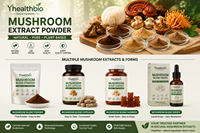 10 Capsules de Complexe de Champignons, Mélange de Champignons, Complément Alimentaire en Capsules, OEM ODM, Marque Privée, Produits Finis pour la Vente en Gros