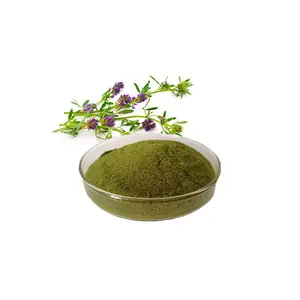 Alfalfa Herb Extract 98% Alfalfa Extract Alfalfa Leaf Extract Powder