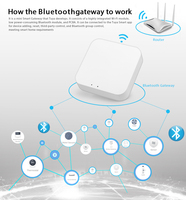 BT-WG-2 Tuya Gateway BT Hub Mini Smart Home Connect 128 Bluetooth Mesh et 3 appareils BLE (max) à faible coût pour Smart Life