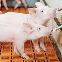 Abreuvoir automatique en acier inoxydable YYC pour porcs, équipement d'abreuvement pour élevages porcins