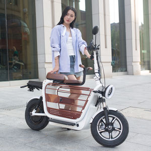 <span class=keywords><strong>Vélo</strong></span> pliable pour animaux de compagnie 500w 3 <span class=keywords><strong>places</strong></span> Scooter électrique de transport Scooter électrique pour adultes - Product Image 2