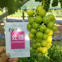 Poudre 3-en-1 de promotion de la croissance et de la résistance au stress à base d'acides aminés, d'acide fulvique et d'acide d'algues, 100% soluble dans l'eau, pour l'agriculture
