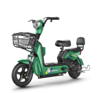 Sepeda Listrik Baterai Asam Timbal 500W 45kmph Harga Pabrik Murah, Jarak Jauh, Cocok untuk Komuter Kota