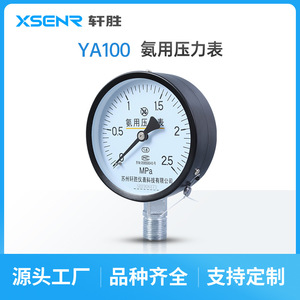 ซูโจว ซวนเฉิง YA100 เกจวัดแรงดัน 2.5Mpa สำหรับแอมโมเนีย ใช้การเชื่อมต่อแบบเกลียว เส้นผ่านศูนย์กลาง 100 มม. - Product Image 5