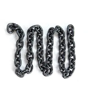 High Precision 1 Inch 16B 304 Stainless Steel Short Pitch Roller Chains Single Drive Chain
