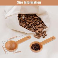 Cuillère à café moulu en bois cuillère à mesurer en bois de noyer noir ensemble de cuillères à café grains de café grains de terre thé personnaliser capacité pas cher