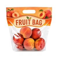 Kantong Kemasan Buah dan Sayur Kustom Plastik Transparan Ramah Lingkungan Dengan Lubang Ventilasi Kantong Zipper Dengan Cetak Logo 1-3kg