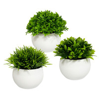 Plantes Artificielles, Plantes Vertes Fraîches, Plantes en Pot Hémisphériques, Décorations de Bureau, Décoration de Chambre, Fabricant Grossiste