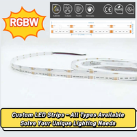 Tuya ZigBee feux sur rail avec Projection 2-wire CCT belt LED track light.100-watt et 20-watt DALI têtes de lumière sur rail