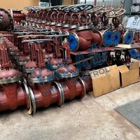 Válvula de Compuerta de Acero Inoxidable, Neumática, con Grafito Trenzado, para Fluidos Corrosivos, Roscada, Tipo Y