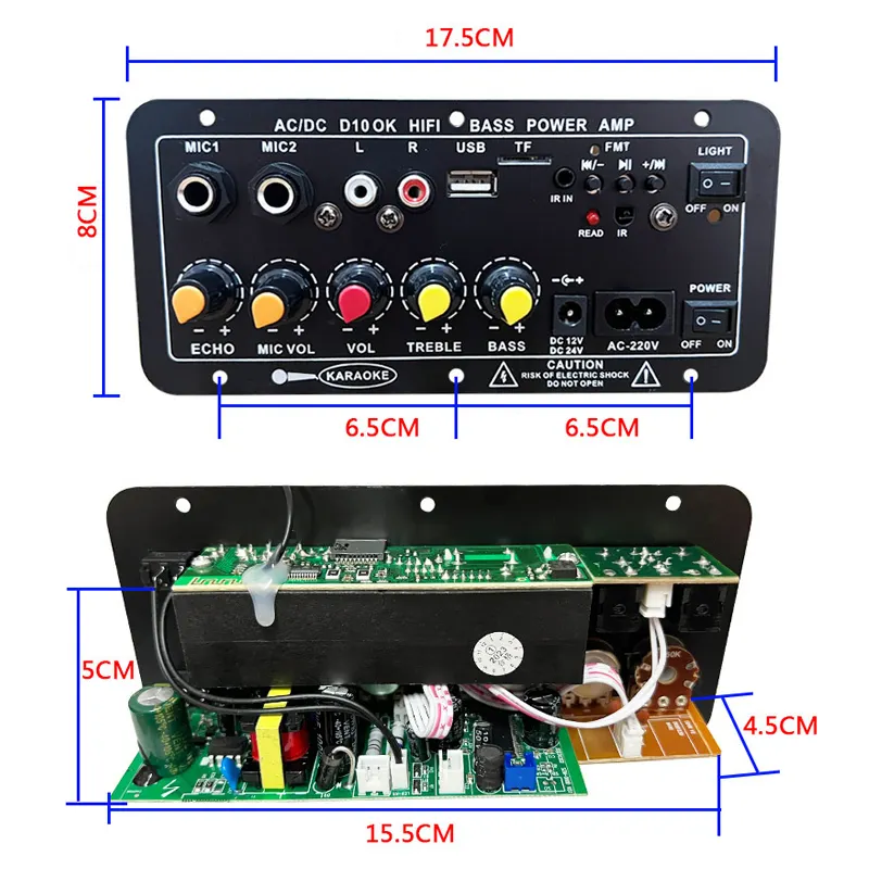 D10 BT Amplificador AC220V 12V 24V Mono Subwoofer Amplificador Micrófono dual Karaoke Amplificadores para altavoces de 6-12 pulgadas