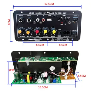 Amplificateur D10 BT AC220V 12V 24V Mono Subwoofer Amplificador Double Microphone Karaoké Amplificateurs Pour Haut-parleurs 6-12 Pouces