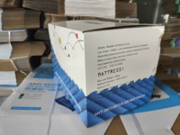 Matelas médical anti-escarres à air avec pompe intégrée pour soins à domicile et lit d'hôpital, matelas gonflable silencieux à pression variable