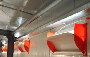Promotion : Nouvelle Cage à Poules Pondeuses Automatique <span class=keywords><strong>en</strong></span> Treillis d'Acier Galvanisé Type H – Cage Avicole pour Élevage de Poulets et Animaux de Ferme - Product Image 6