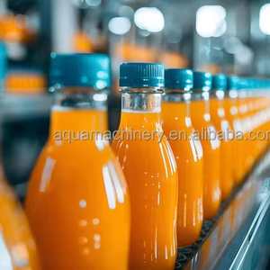 Petite ligne <span class=keywords><strong>de</strong></span> <span class=keywords><strong>production</strong></span> <span class=keywords><strong>de</strong></span> vitamine Water Company/jus - Product Image 3