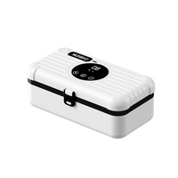 Réfrigérateur de voiture portable, glacière à insuline, boîte de rangement de médicaments de voyage avec verrouillage sécurisé, sans batterie requise, utilisation facile