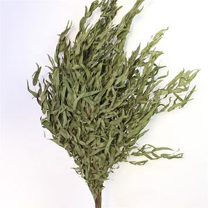 E-3040 Toptan doğal bitki kuru <span class=keywords><strong>eucalyptus</strong></span> berry kurutulmuş Okaliptüs yaprakları buket - Product Image 4