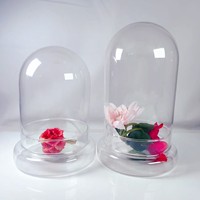 Campana de Cristal Transparente de 8 Pulgadas con Base para Plantas de Interior, Terrario Pequeño, Florero de Mesa para Bodas, Decoración del Hogar Hecha a Mano y Ecológica