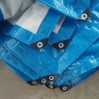 Bâche en PE tissée enduite robuste, imperméable, bleue et blanche, pour toiture, potager et abri automobile