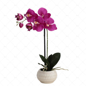 زجاجة أوركيد فنية فاخرة ذهبية نبات أوركيد صناعي أبيض ترتيب ذهبي بالزهور البيضاء - Product Image 6