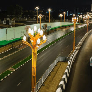 ไฟถนนมัลติเฮดดิ้งรูปดอกแมกโนเลียสีทองสำหรับโครงการเมืองอัจฉริยะเอธิโอเปีย ขายดีในแอฟริกา ใช้สำหรับตกแต่งภูมิทัศน์ในเมืองแอดดิสอาบาบา - Product Image 1