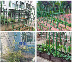 Piquets de soutien pour tomates en fibre de verre de haute qualité, revêtement plastique, tige en PRV de 8 mm, soudables et pliables, couleur personnalisable pour le jardin - Product Image 2