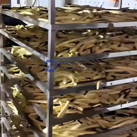 Séchoir à légumes à haute efficacité pour bandes de légumes, machine de séchage pour bandes de radis, machine de séchage pour bandes de carottes