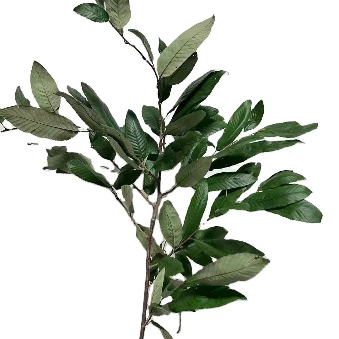 Hoa khô & Cây bất tự nhiên màu xanh lá cây hạt dẻ cây bảo quản tán lá cho tường nhà giáng sinh sự kiện đám cưới trang trí