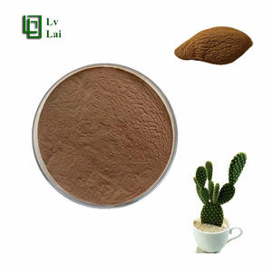 オプンティア・ディレンニ抽出物10:1 サボテン粉末 高品質 純天然 食品グレード - Product Image 1