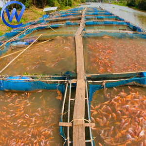Nổi cá chăn nuôi <span class=keywords><strong>Net</strong></span> Cá Rô Phi chăn nuôi <span class=keywords><strong>Net</strong></span> HDPE nổi cá nuôi nuôi nuôi <span class=keywords><strong>Net</strong></span> lồng bẫy cho đại dương nuôi trồng thủy sản - Product Image 1