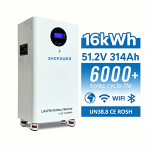 Batería de 48V 314Ah 16kWh sin Mantenimiento, 6000 Ciclos, BMS Inteligente, Compatible con Deye Growatt África - Product Image 1