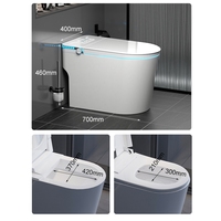 Toilette intelligente japonaise de luxe monobloc avec bidet intégré, chasse d'eau siphonique, en céramique, automatique et télécommandée