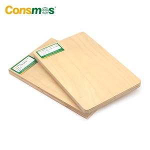 Venta al por mayor 3mm 12MM 18mm fenólico 100% tablero <span class=keywords><strong>de</strong></span> madera contrachapada <span class=keywords><strong>de</strong></span> abedul blanco completo - Product Image 3