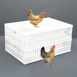 Slaughterhouse Verwerking Vereist Grote Sliding Top Deur Kleine Vogel Transport Krat Voor Duiven - Product Image 4