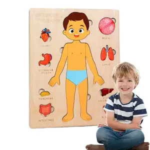 Struttura del corpo cognitivo bordo Montessori ragazzo e ragazza corpo organo Puzzle per bambini educazione precoce Puzzle in legno giocattoli di apprendimento