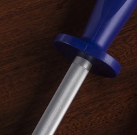 AMSZL Tige d'affûtage de couteau de cuisine écologique de 12 pouces en acier allié à haute teneur en carbone, grain grossier (100-400), manche en plastique bleu
