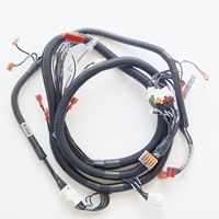 Câble de connexion Phoenix, faisceau de câblage Tyco Electronics, assemblage OEM, faisceau de câblage personnalisé
