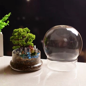 Terrario vuoto del barattolo <span class=keywords><strong>di</strong></span> campana del fiore conservato per le <span class=keywords><strong>piante</strong></span> con il supporto - Product Image 2