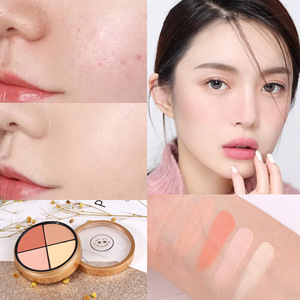 <span class=keywords><strong>Palette</strong></span> de <span class=keywords><strong>maquillage</strong></span> nouveau design, crème pour le visage, imperméable, <span class=keywords><strong>palette</strong></span> de <span class=keywords><strong>correcteur</strong></span> <span class=keywords><strong>correcteur</strong></span> de 4 couleurs - Product Image 4