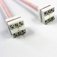 Thermocouple Platine-Rhodium Type B WRR-010 en Alumine Diamètre 8mm Petit Modèle 1600 Degrés Support Personnalisé Disponible